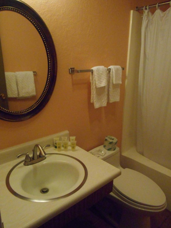 Victorian Inn image 57