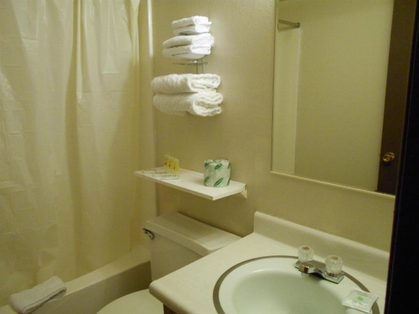 Victorian Inn image 59