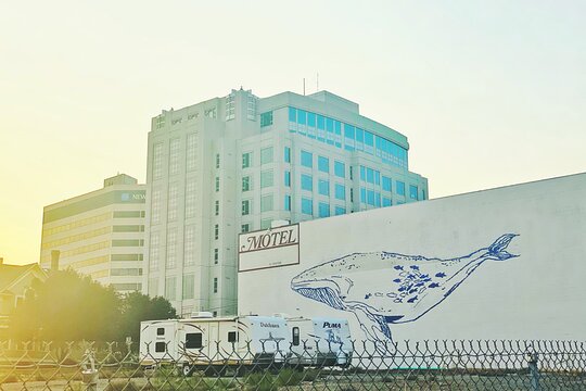 Tour image 3